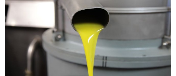 Olio nuovo, come sarà?